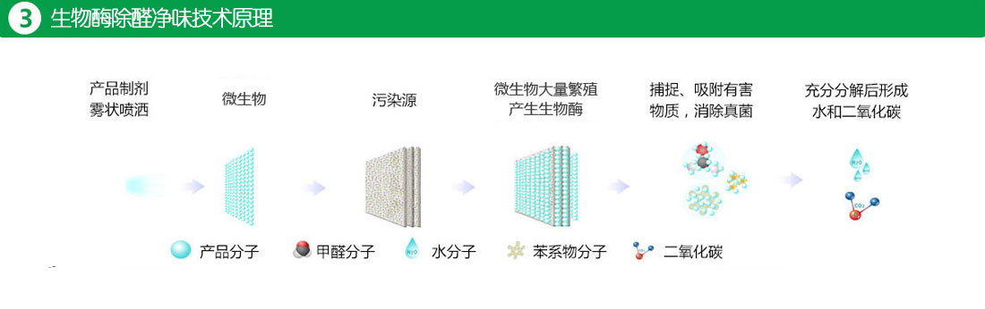 生物酶除甲醛技术